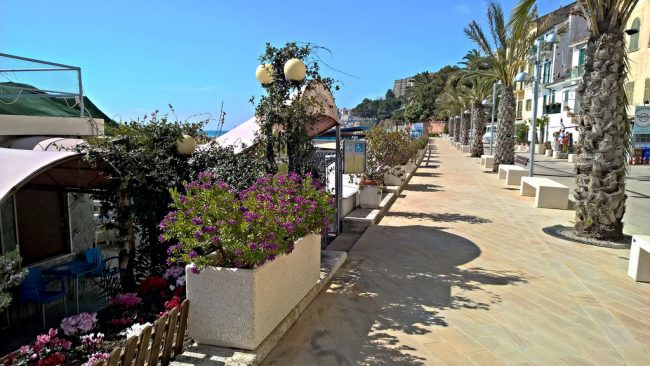 Flower Coast cycle track