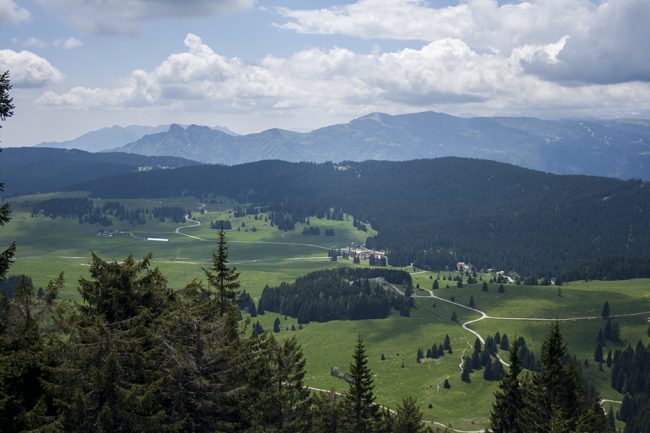 Mountain biking tour in Luserna