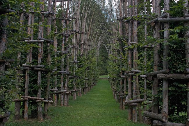 Val di Sella: by bicycle at the Arte Sella park-museum