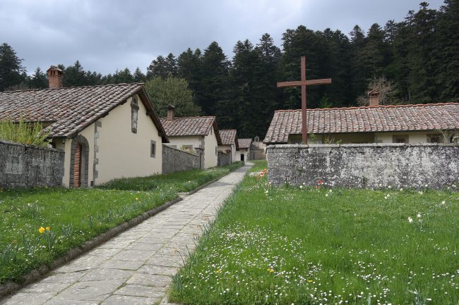 From Bagno di Romagna to Camaldoli by bike