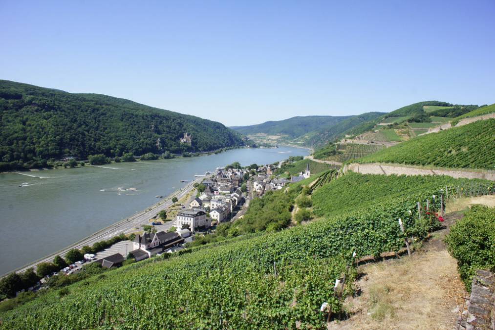 Eurovelo 15: the Rhine Bicycle Track Eurovelo 15: the Rhine Bicycle Track