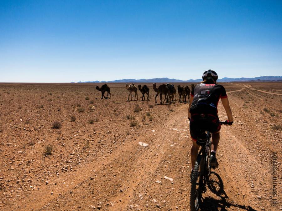 Cyclotourism in Morocco