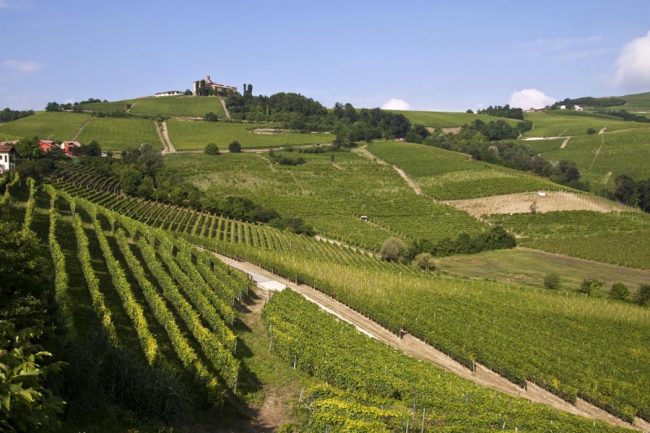 Piedmont by bike with the kids: bike ride in Roero region