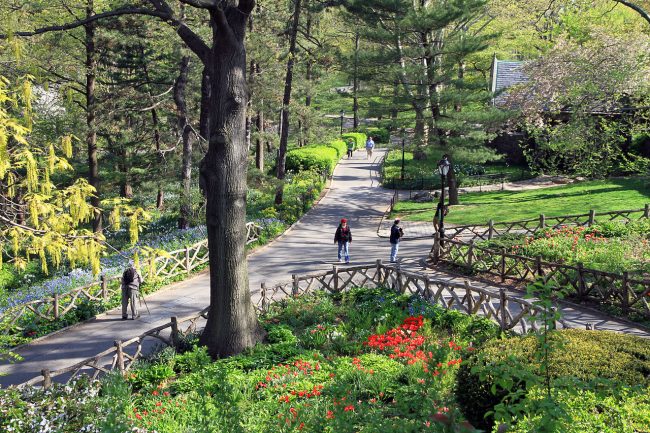 Bike tour of Central Park