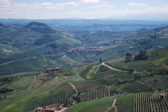 Tour of the Lower Langa, cycling between castles and vineyards