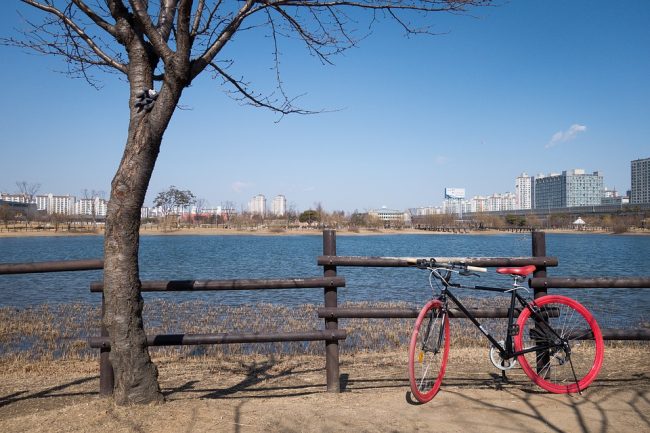 How to choose winter tires for the bicycle