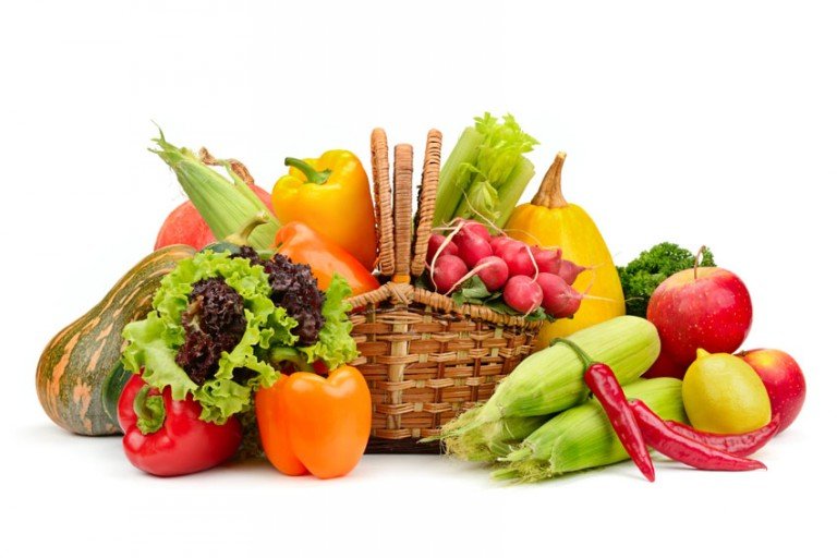 Nutrition and Brain