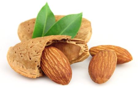 The almonds The almonds