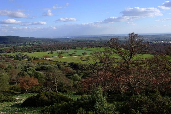 From Martina Franca to the State Reserve of the Oriental Murge.