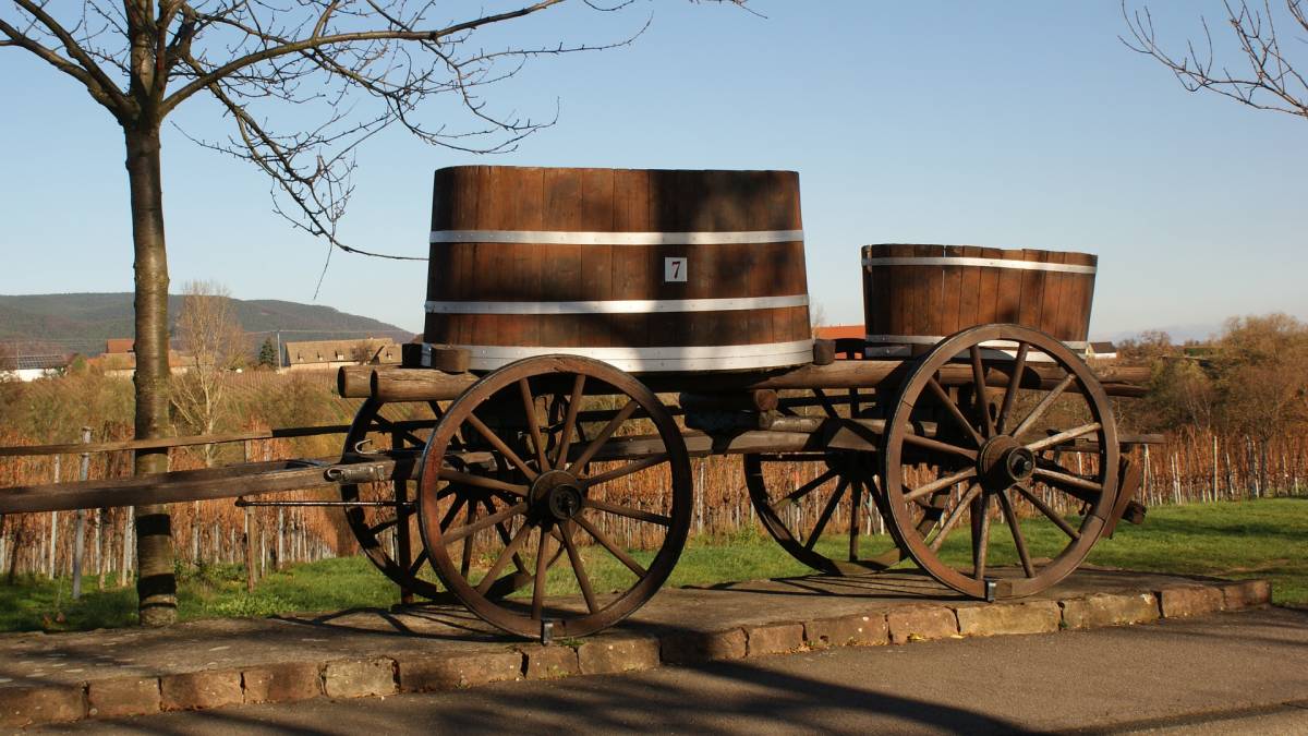 Weinstrasse: pedaling on the German wine way