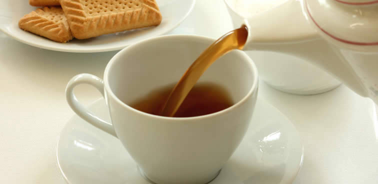 Tea is a cup of life. Tea is a cup of life.