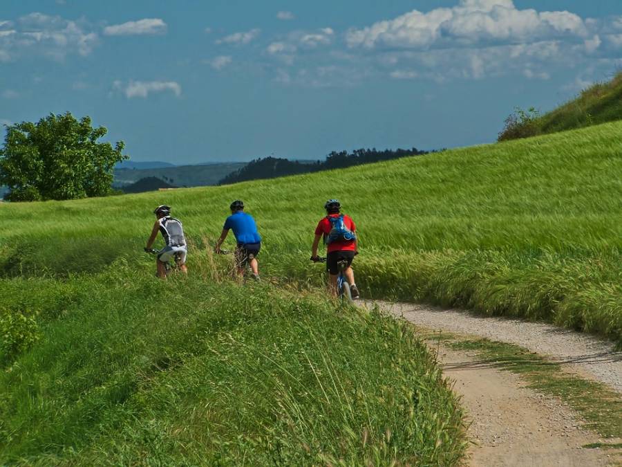 Bicycle Touring in Emilia Romagna