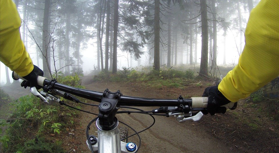 Mountain biking in Casentino