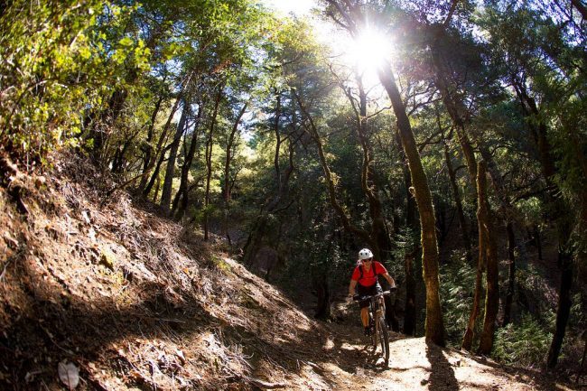 bike_trail